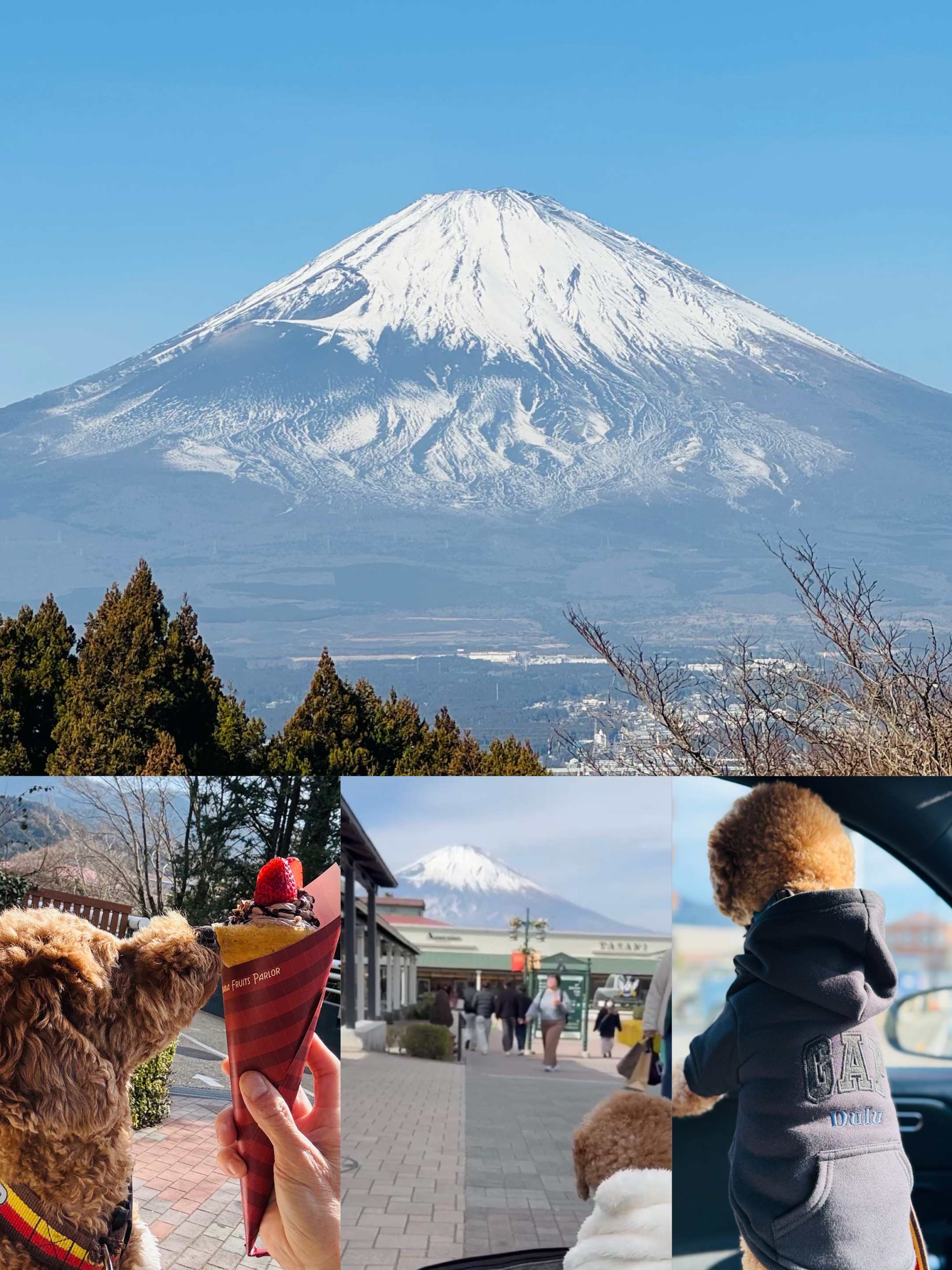 アップロードファイル 1,249KB