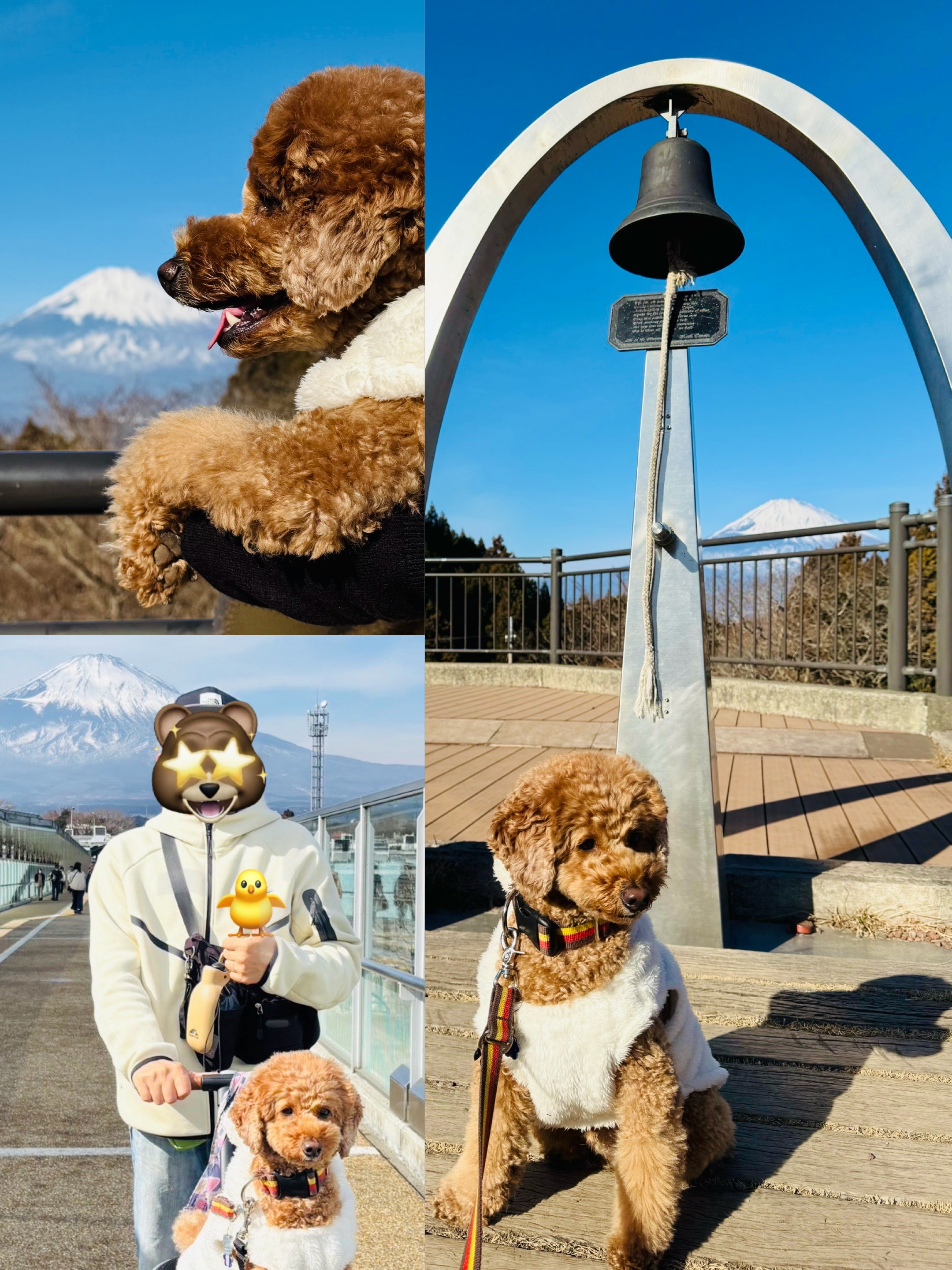 アップロードファイル 1,361KB