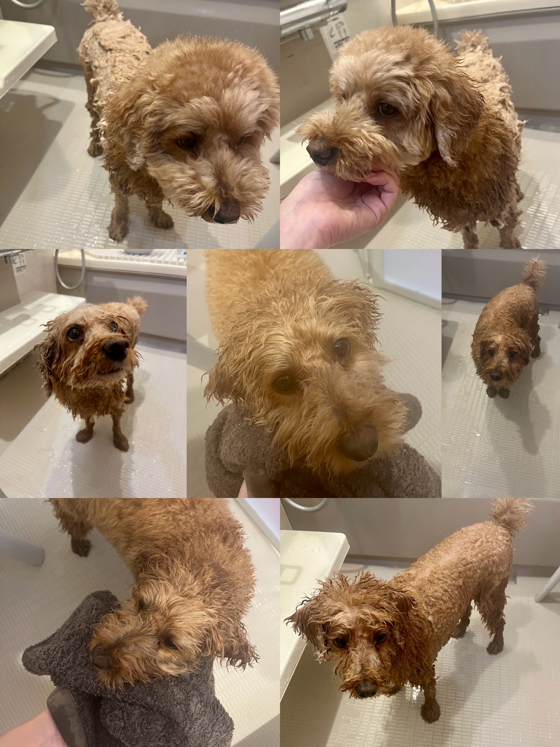 アップロードファイル 1,349KB