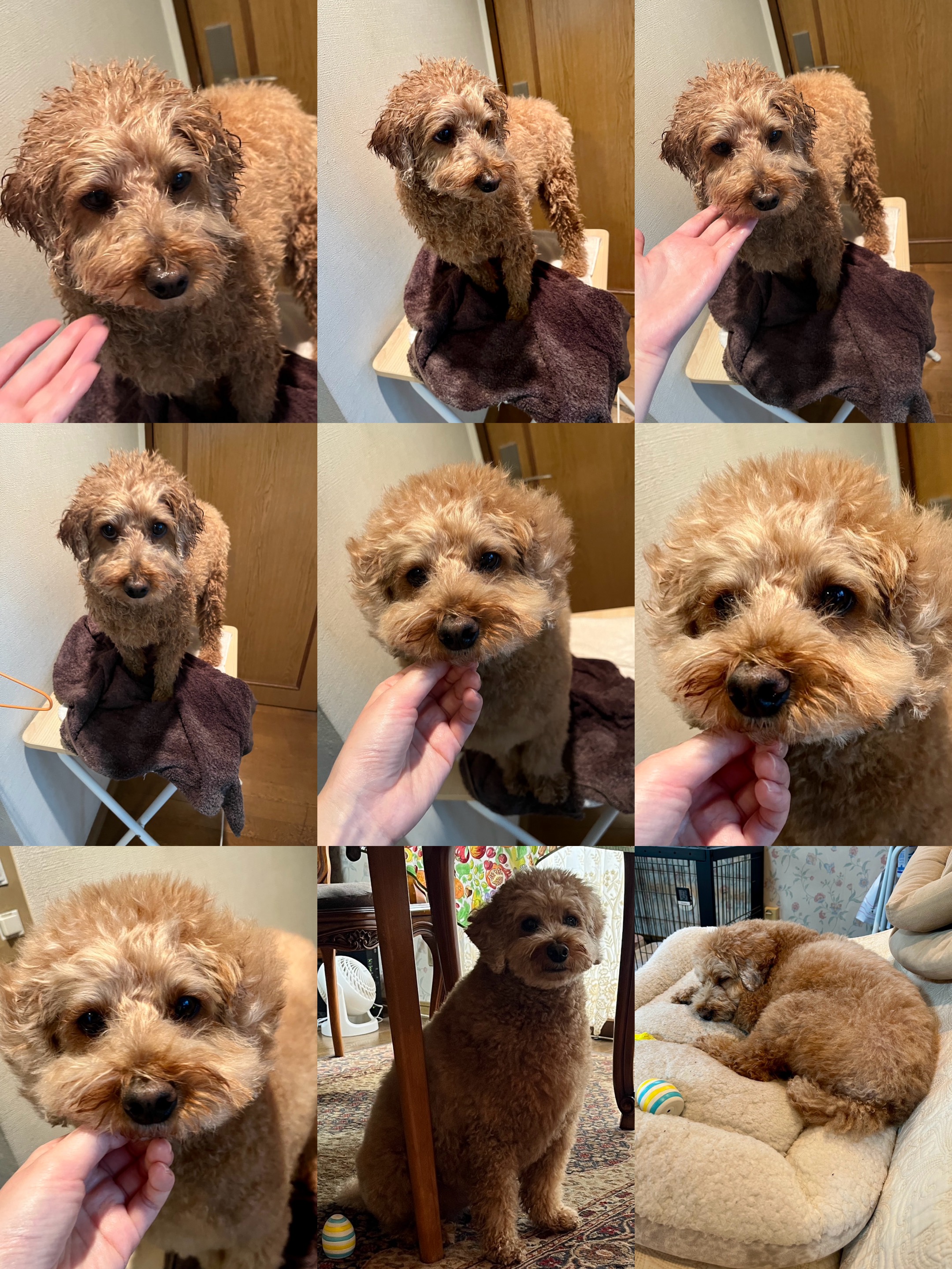 アップロードファイル 1,580KB