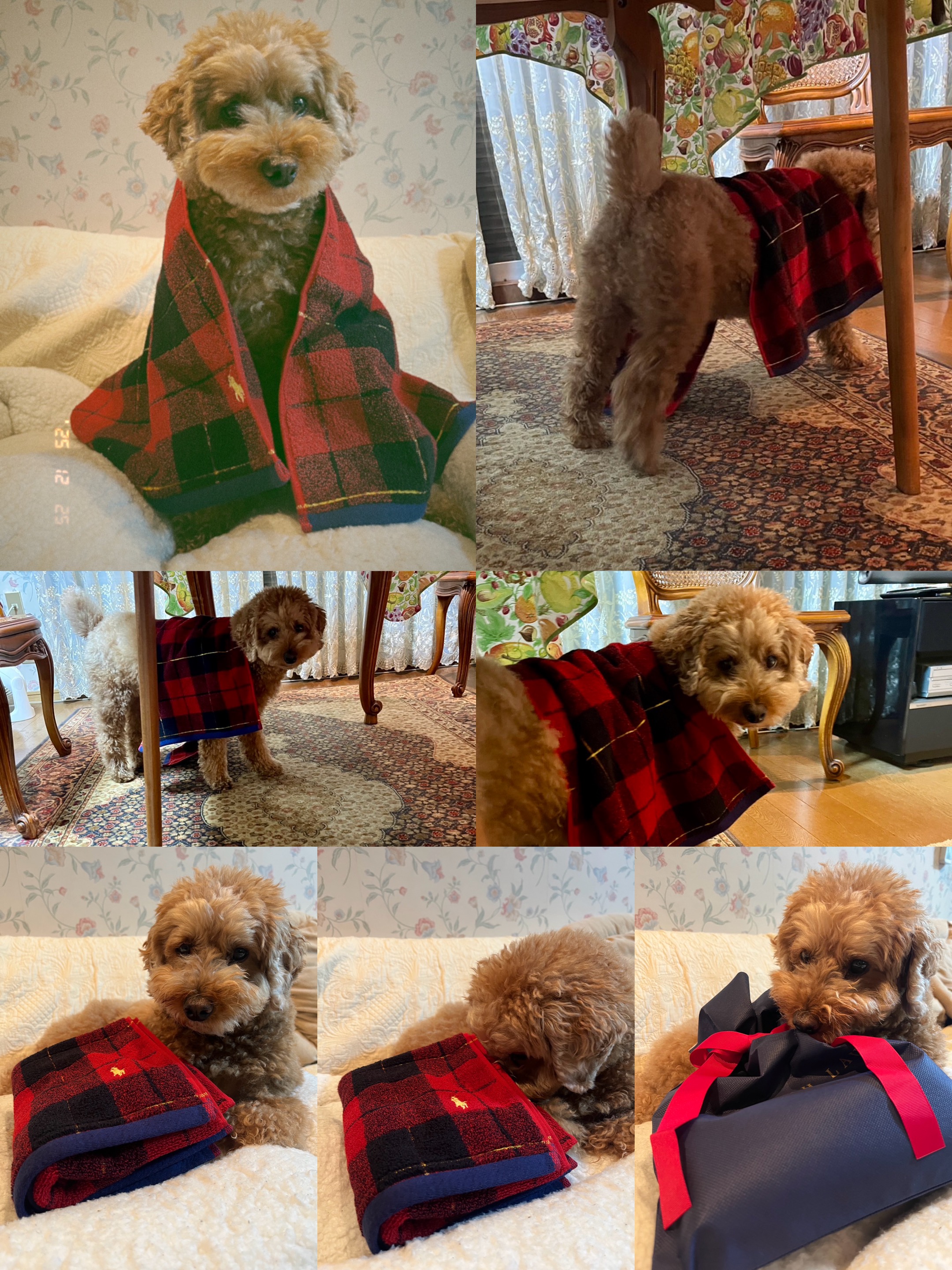 アップロードファイル 1,618KB