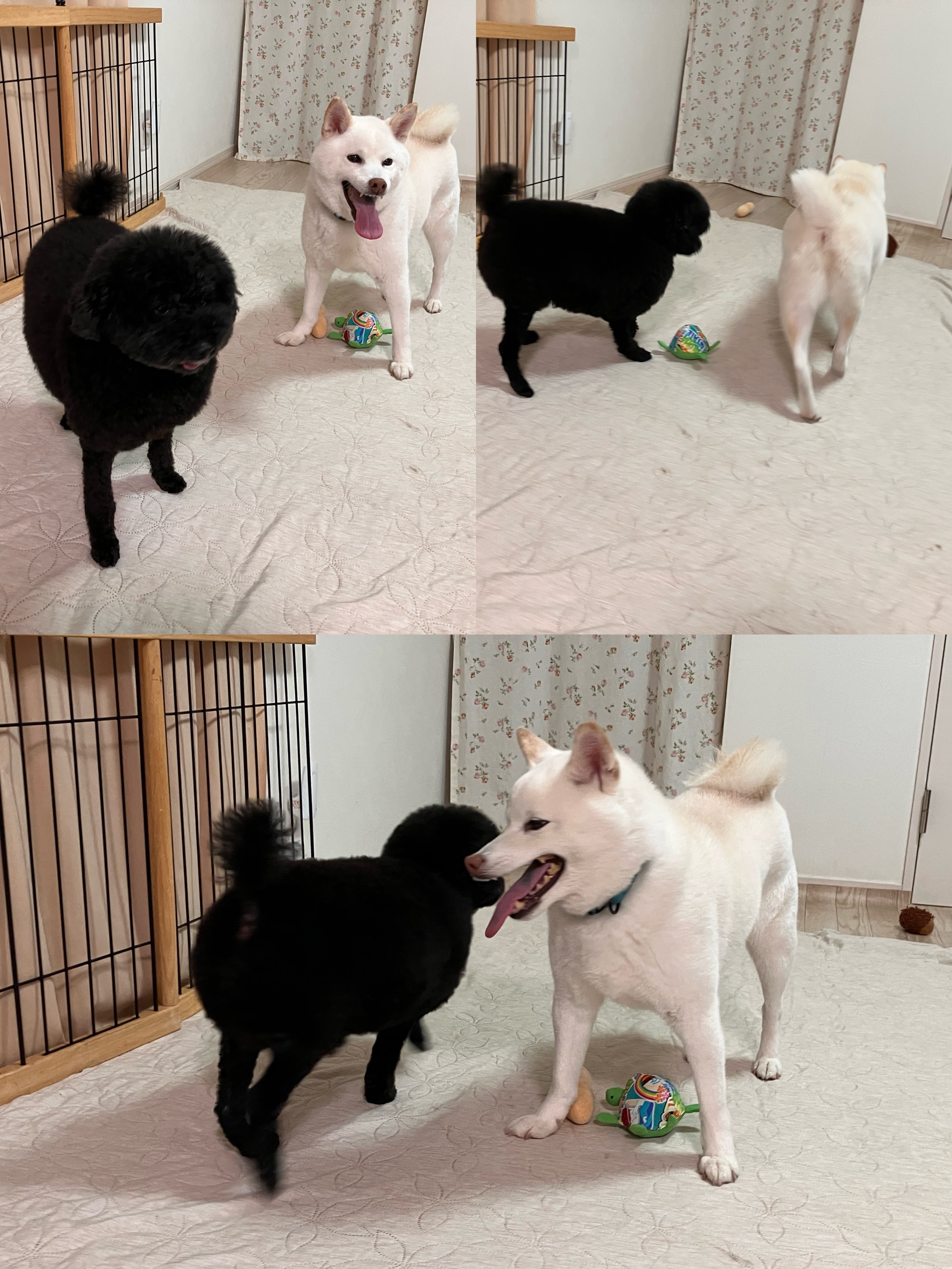 アップロードファイル 1,283KB