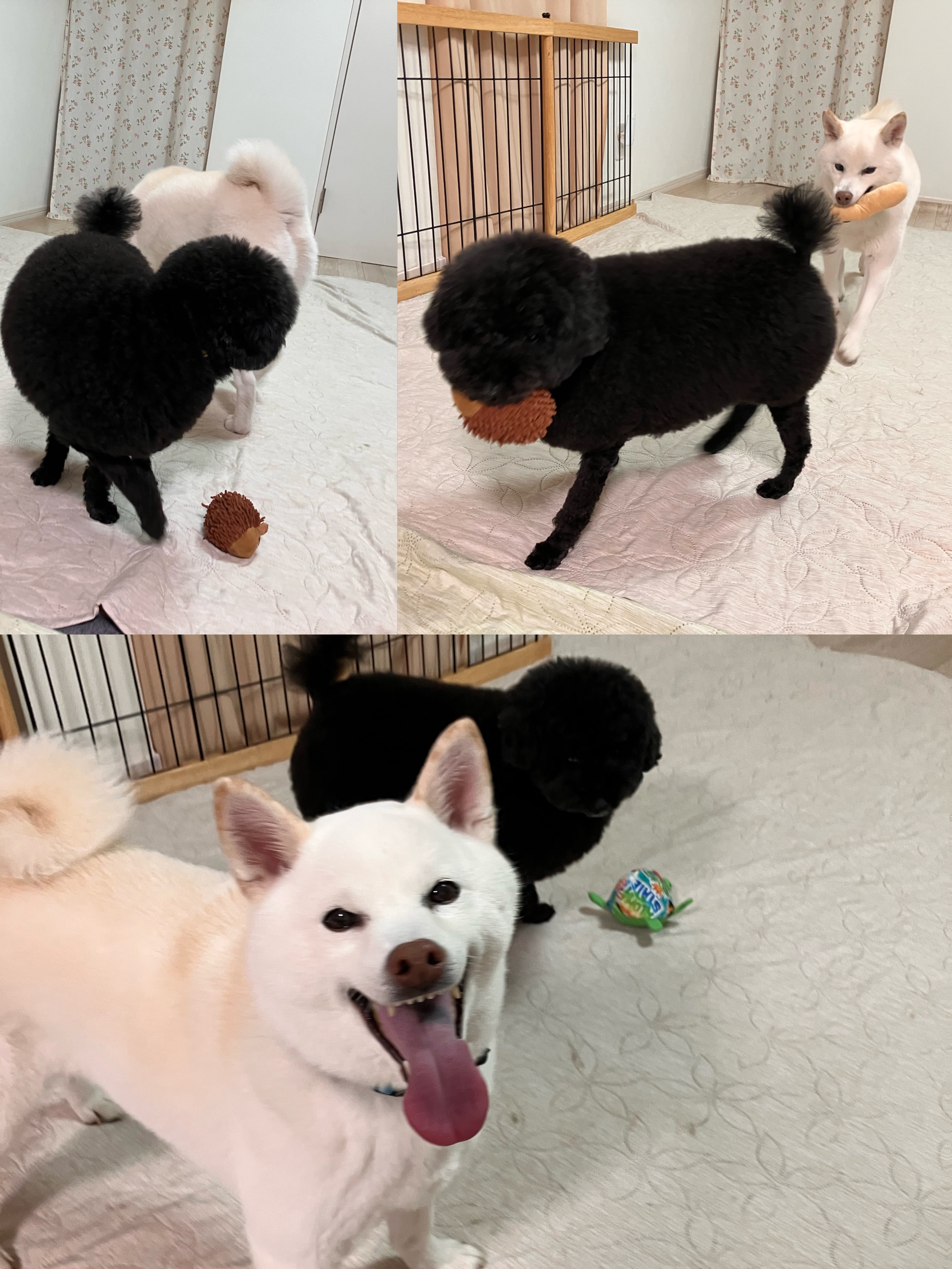 アップロードファイル 1,181KB