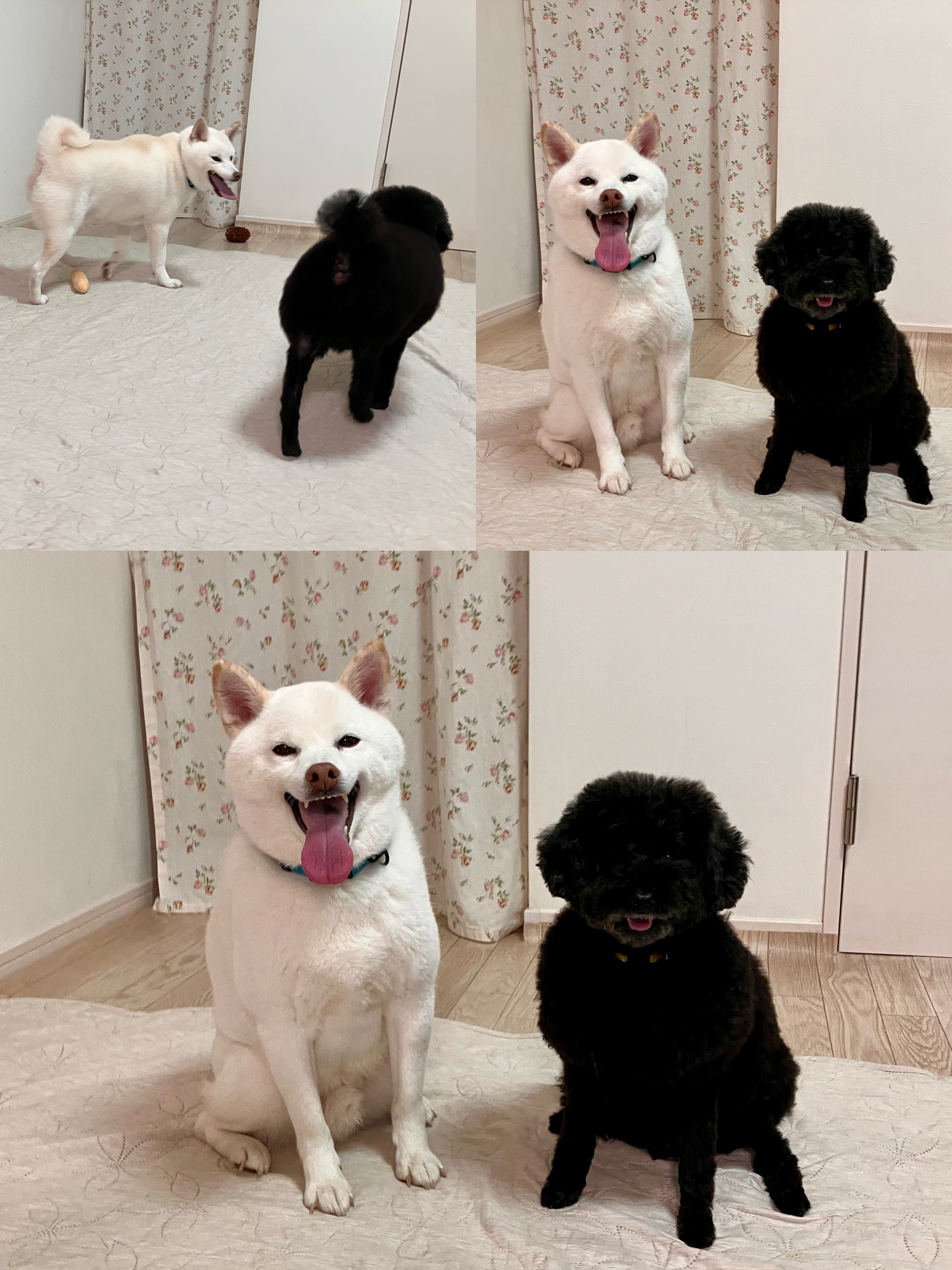 アップロードファイル 1,160KB