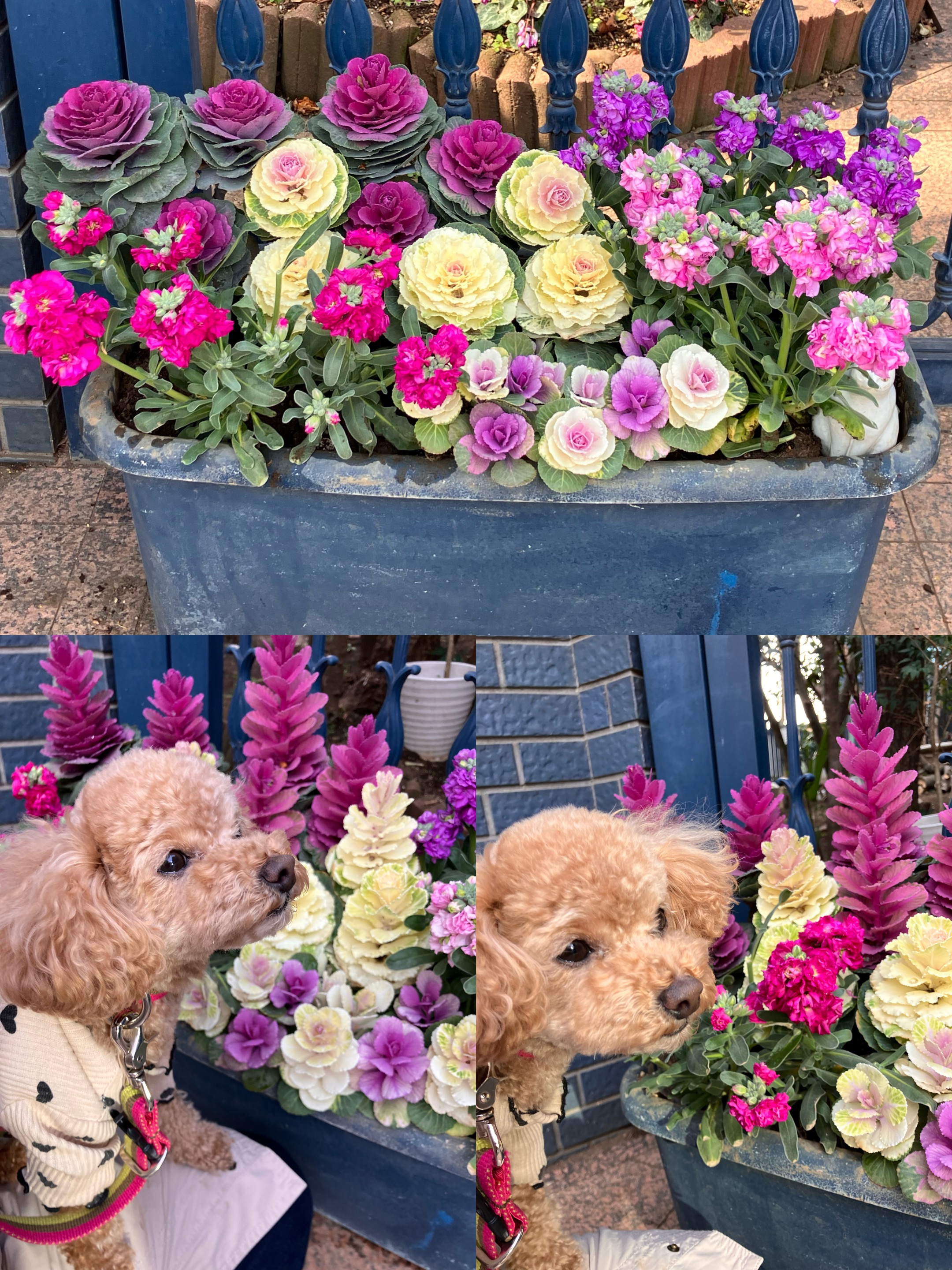 アップロードファイル 1,751KB