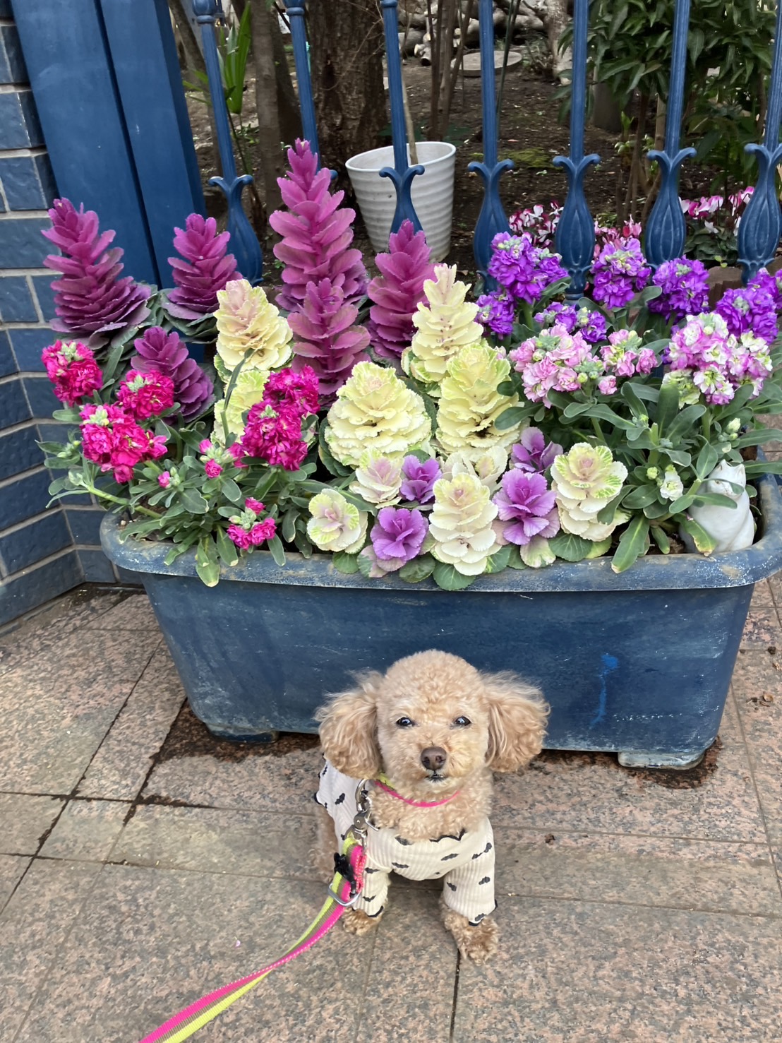 アップロードファイル 566KB