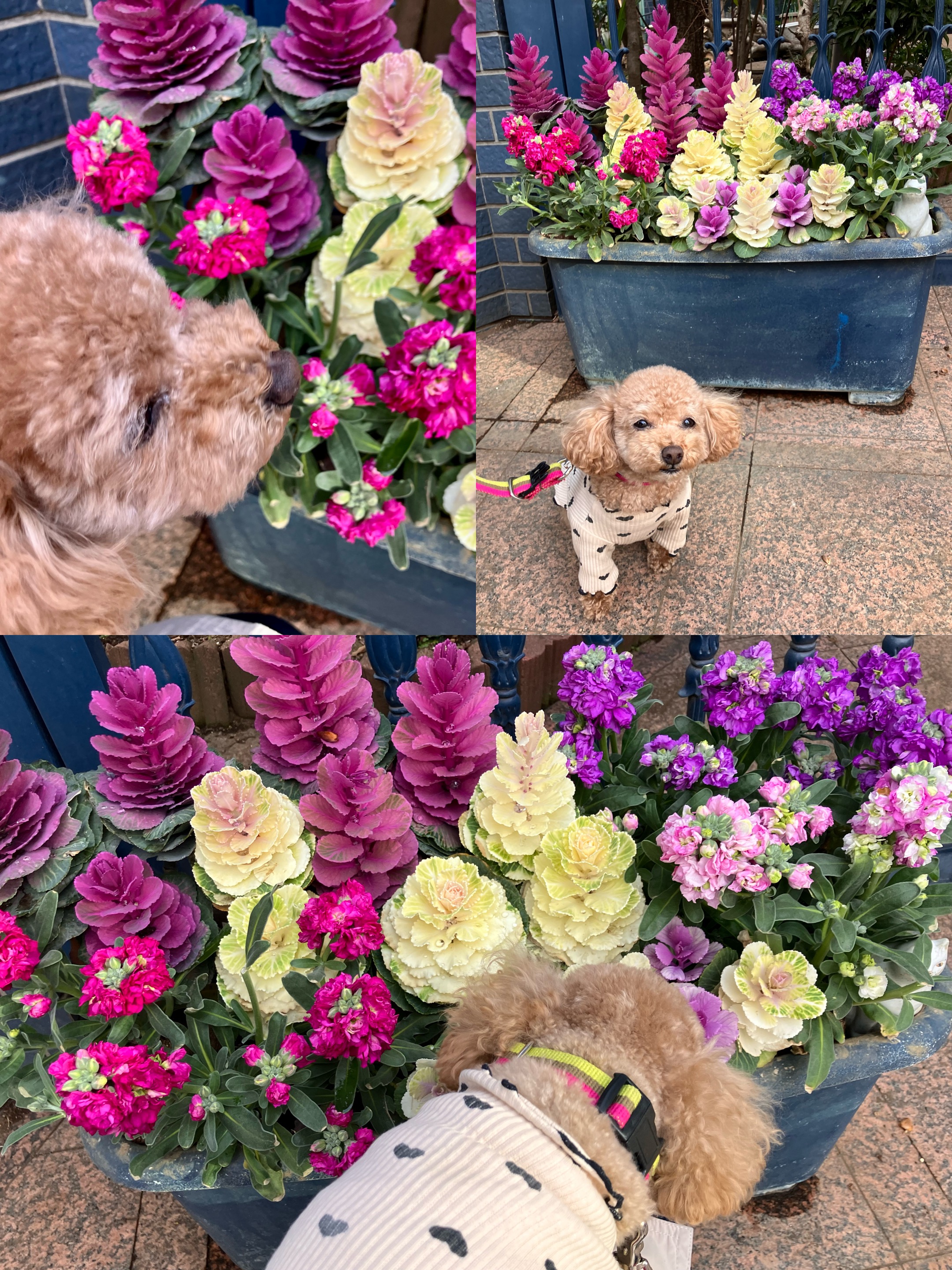 アップロードファイル 1,942KB