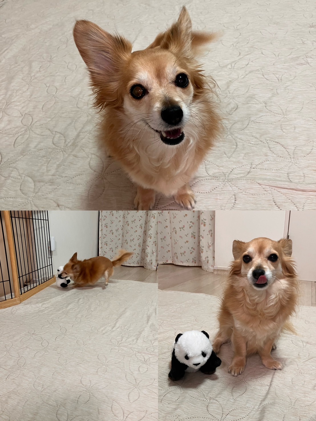 アップロードファイル 400KB