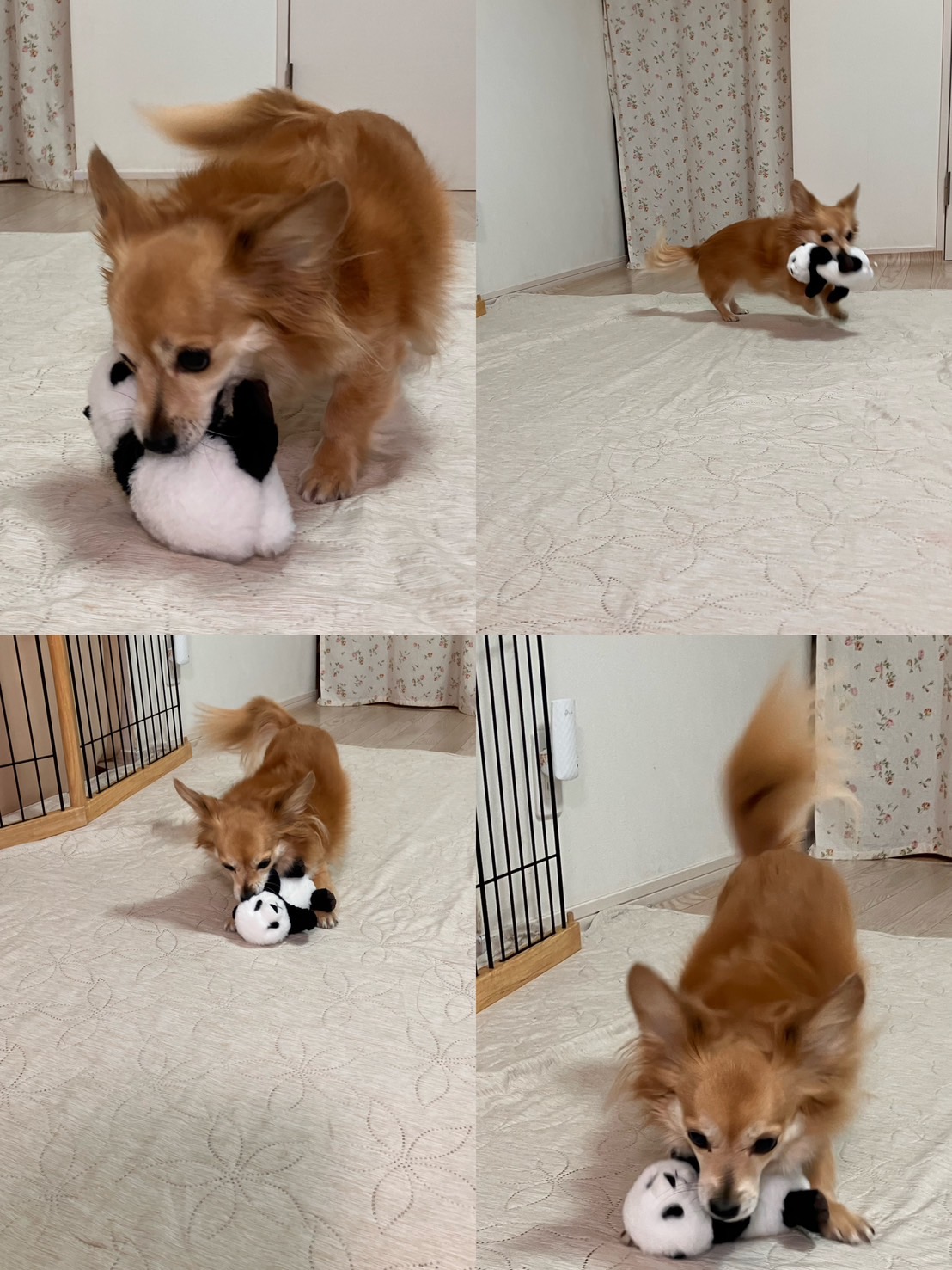 アップロードファイル 378KB