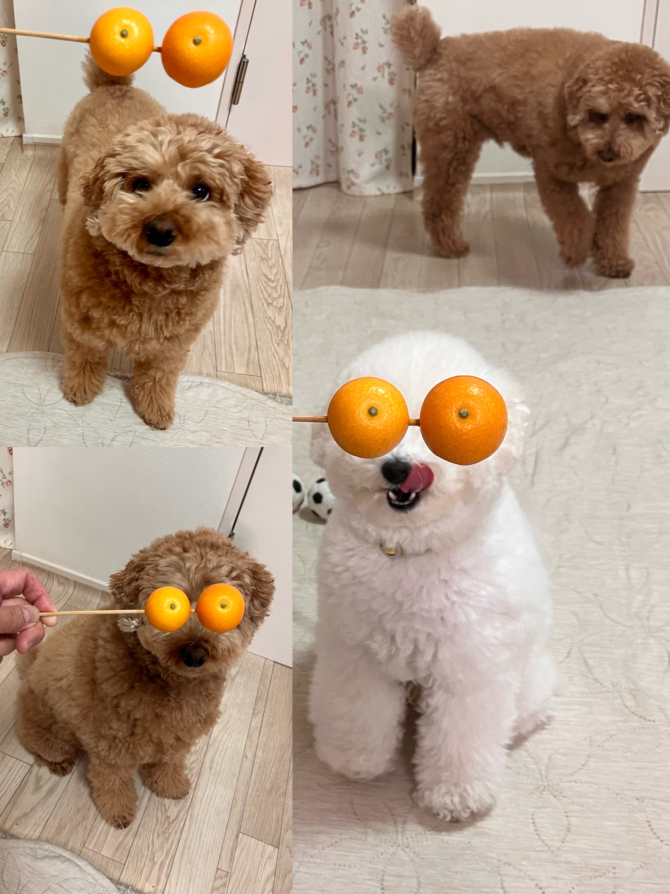 アップロードファイル 1,324KB