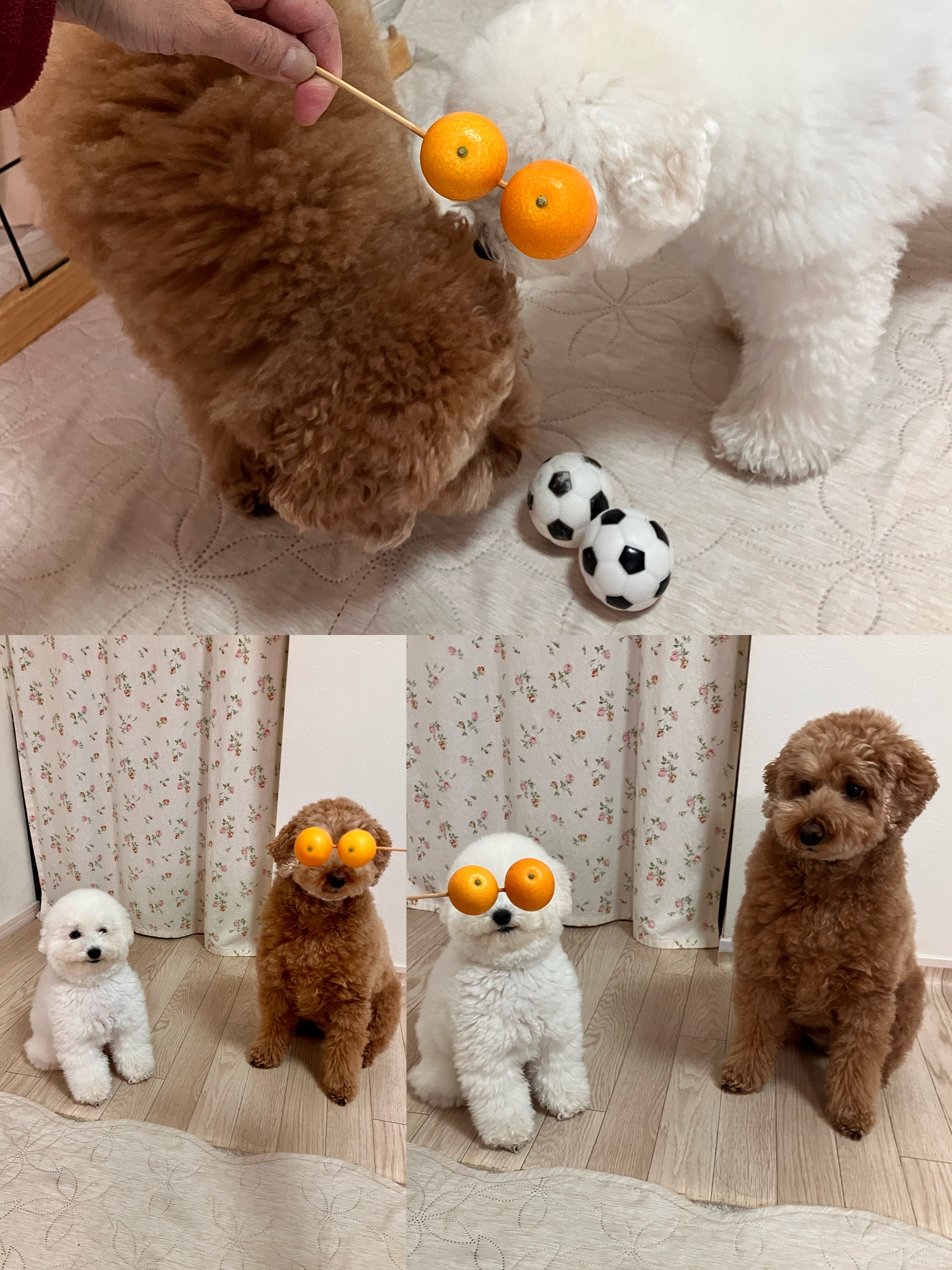 アップロードファイル 1,467KB