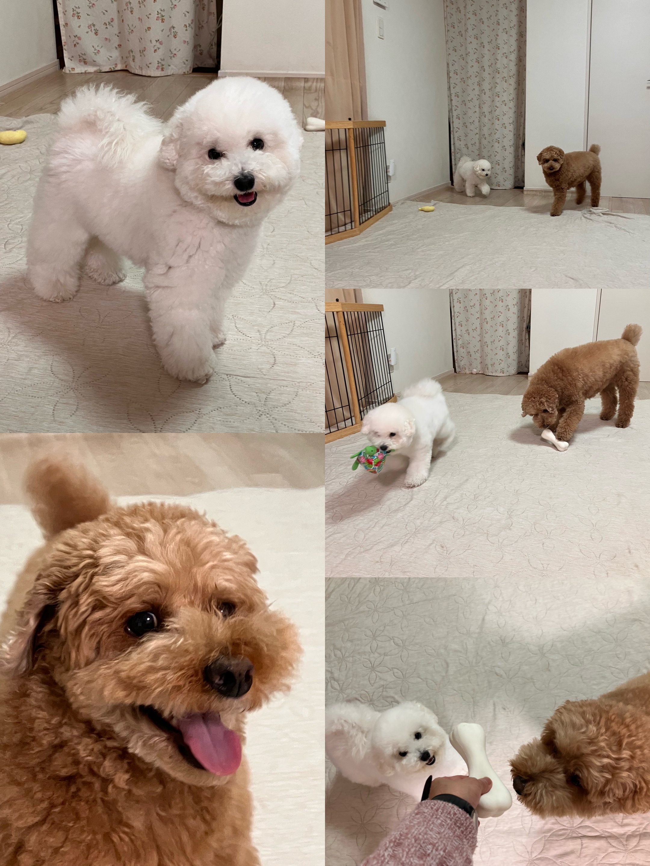 アップロードファイル 1,192KB